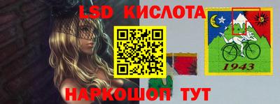 гашик Гатчина