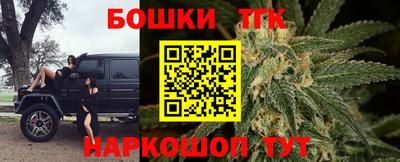 гашик Гатчина