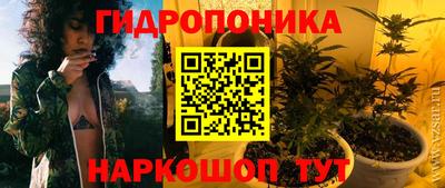 скорость Гагарин