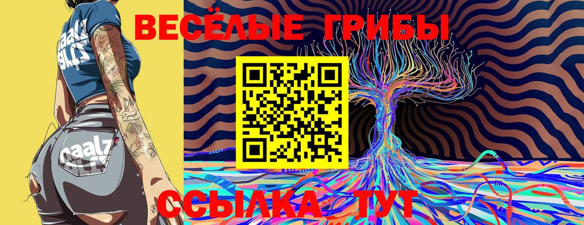 Галлюциногенные грибы ЛСД  купить  цена  Псилоцибиновые грибы прущие грибы  Каменск-Шахтинский 