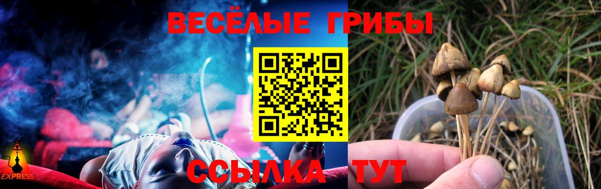 Псилоцибиновые грибы GOLDEN TEACHER  Вход с VPN  Каменск-Шахтинский 
